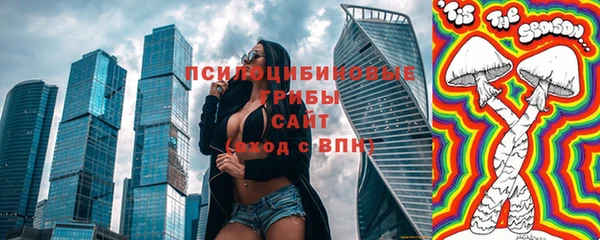 амф Осинники