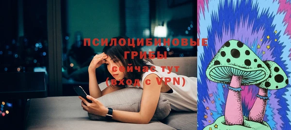 амф Осинники