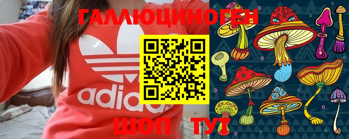 Псилоцибиновые грибы мицелий Красноярск