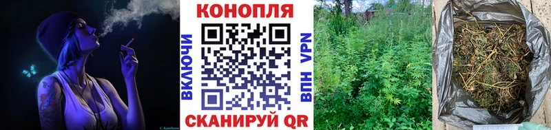 Бошки марихуана планчик  Красноярск 